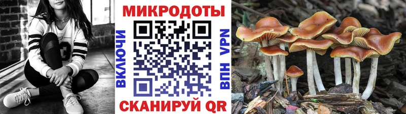 Купить закладки  Ижевск  Галлюциногенные грибы GOLDEN TEACHER 